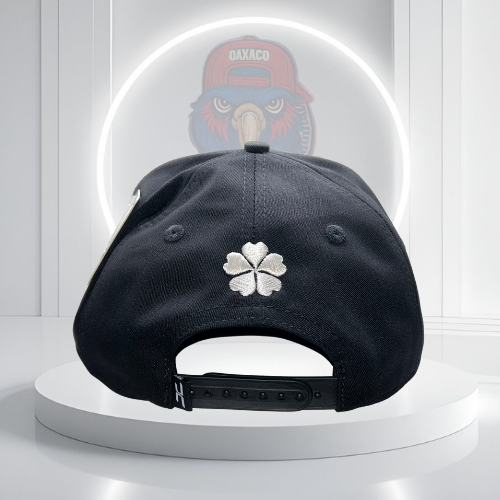 JC Hat Good Luck Color